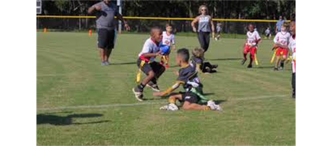 Eastern Shore Fall 2021 Highlights